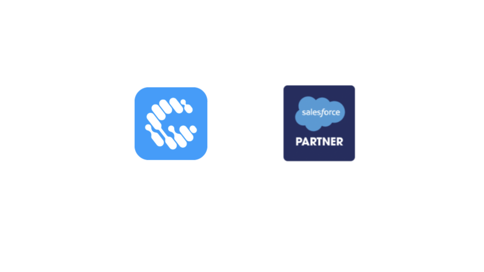 What makes us a Top RCG Salesforce Partners? post thumbnail