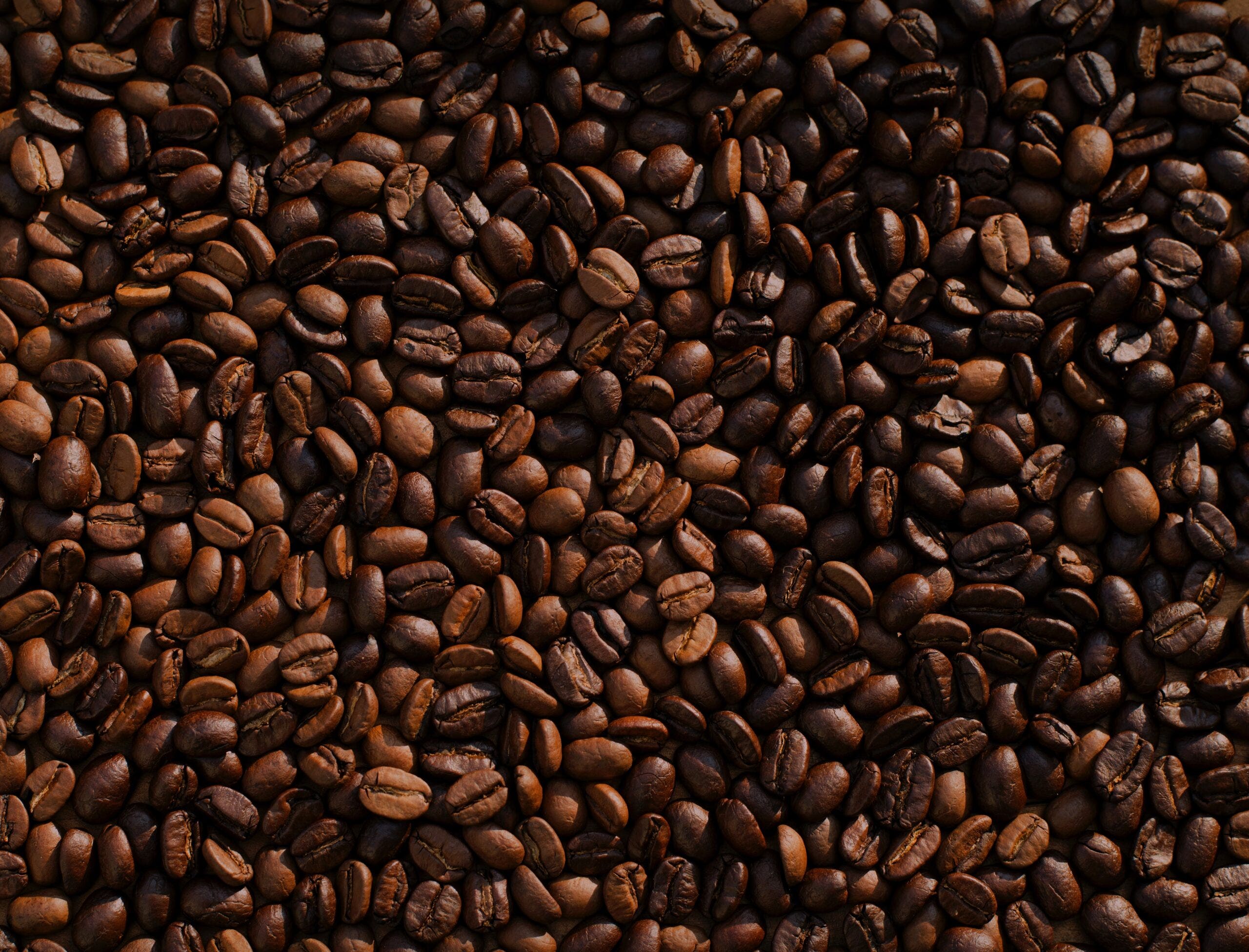 Compass Coffee beans