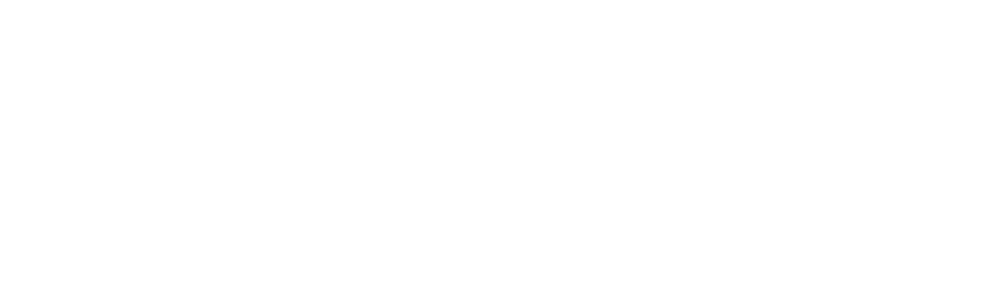 splunk-logo-white